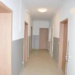 Weisenau Plaza Vandrerhjem Mainz