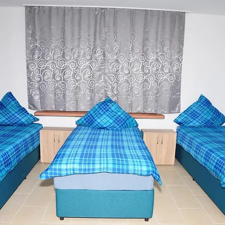 Vandrarhem Weisenau Plaza