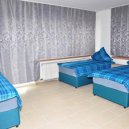 Weisenau Plaza 旅馆 *