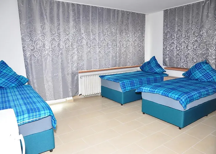 Weisenau Plaza Hostel *